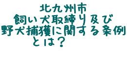 �k��B�s
�����������y��
�쌢�ߊl�Ɋւ�����
�Ƃ́H     
 �@ �@ �@ 
